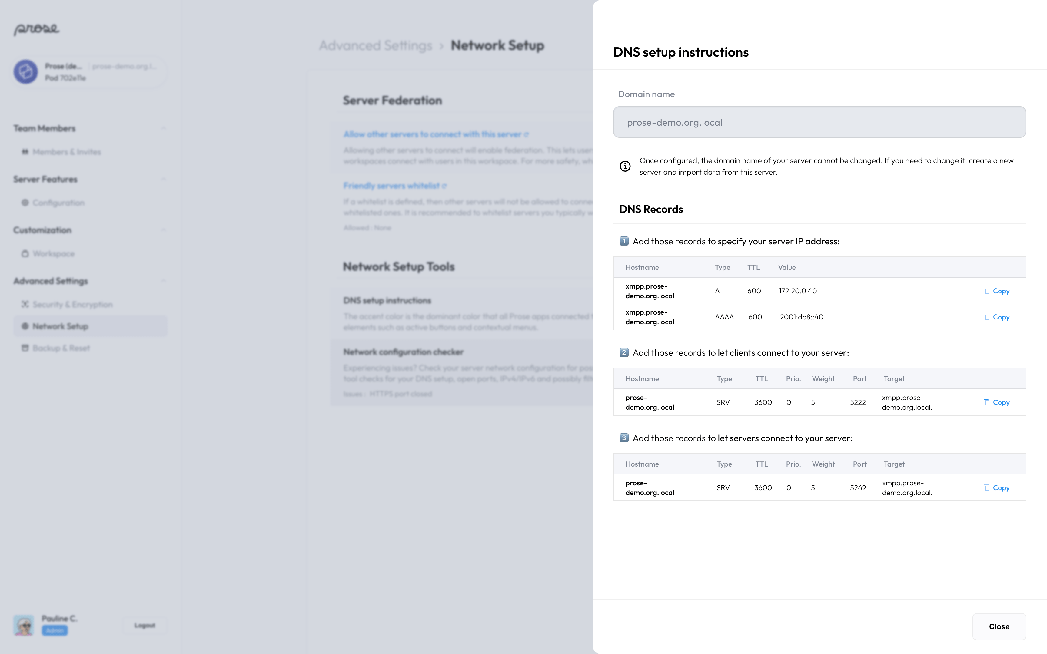 DNS setup instructions screen